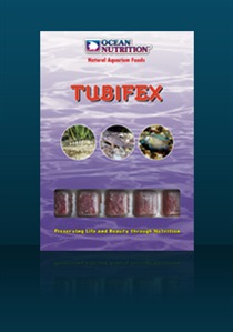 Tubifex Tubifex