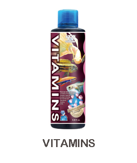 VITAMINS